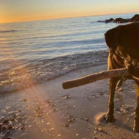 Ostseeferienpark Walkyrien - Lotse 01 Holiday home